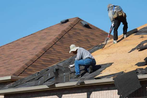 Reliable Buena Vista, GA Roofing servicies Solutions